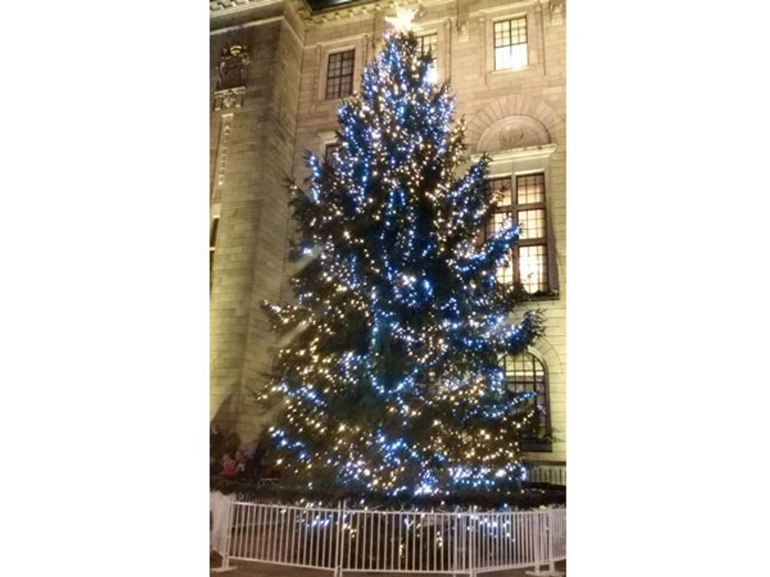 Burgemeester ontsteekt lichtjes kerstboom Rotterdam Rijnmond