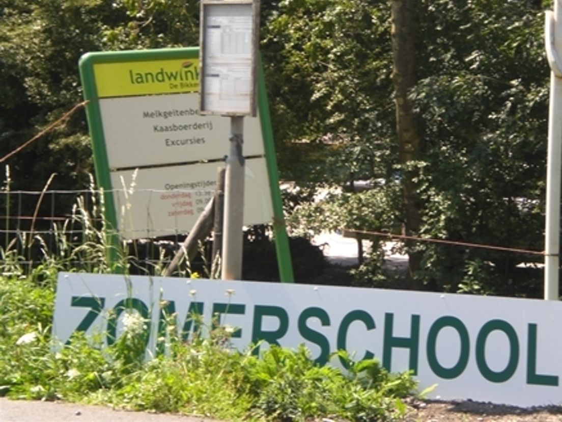 Zomerschool Voor Senioren In Zederik - Rijnmond