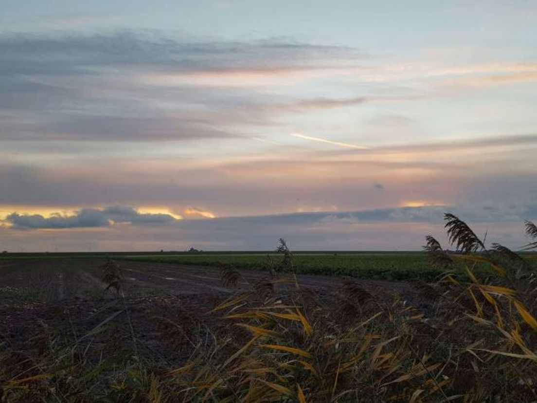 Het polderlandschap van Zuidland. Straks met Windmolens?