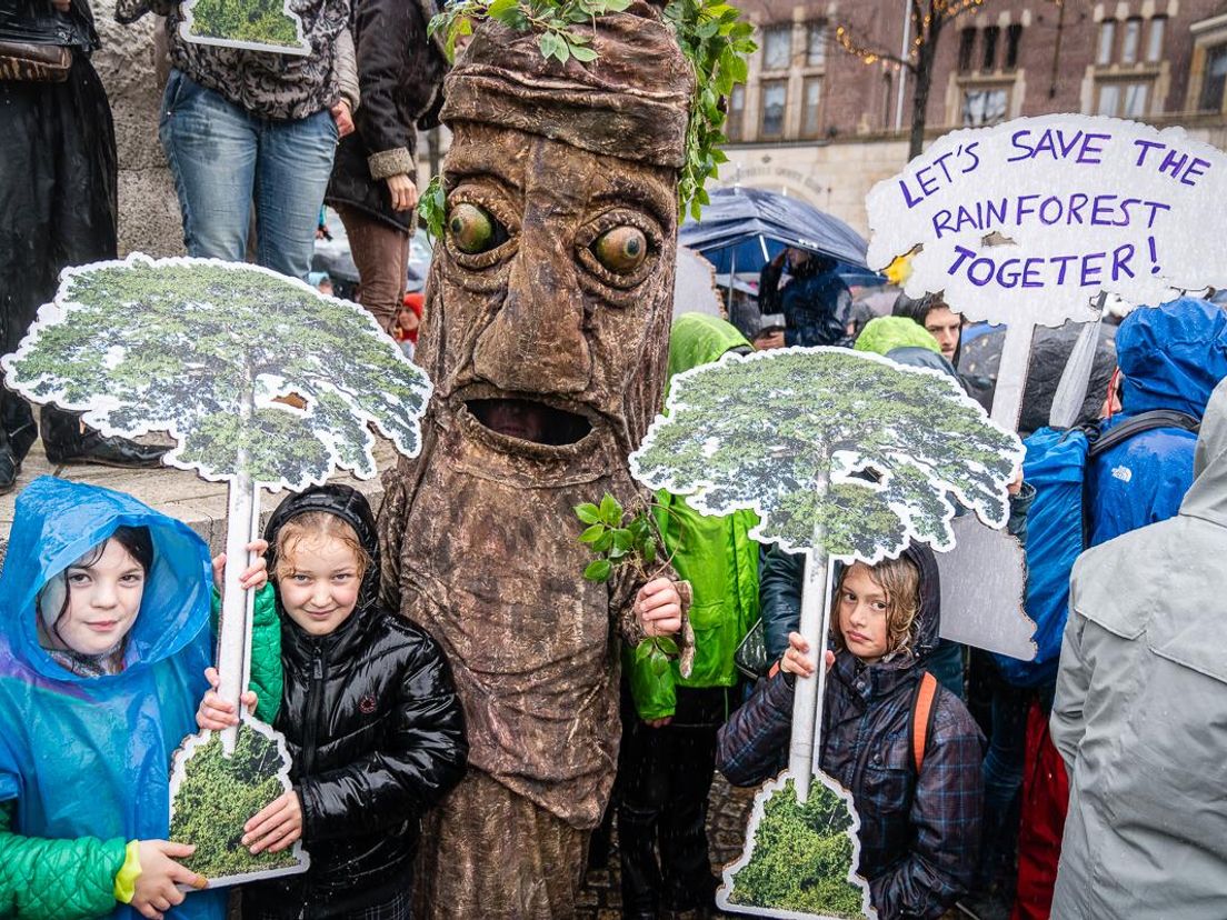 Joeri Westen als Greenpeace-boom (Rechten: Irina Raiu)