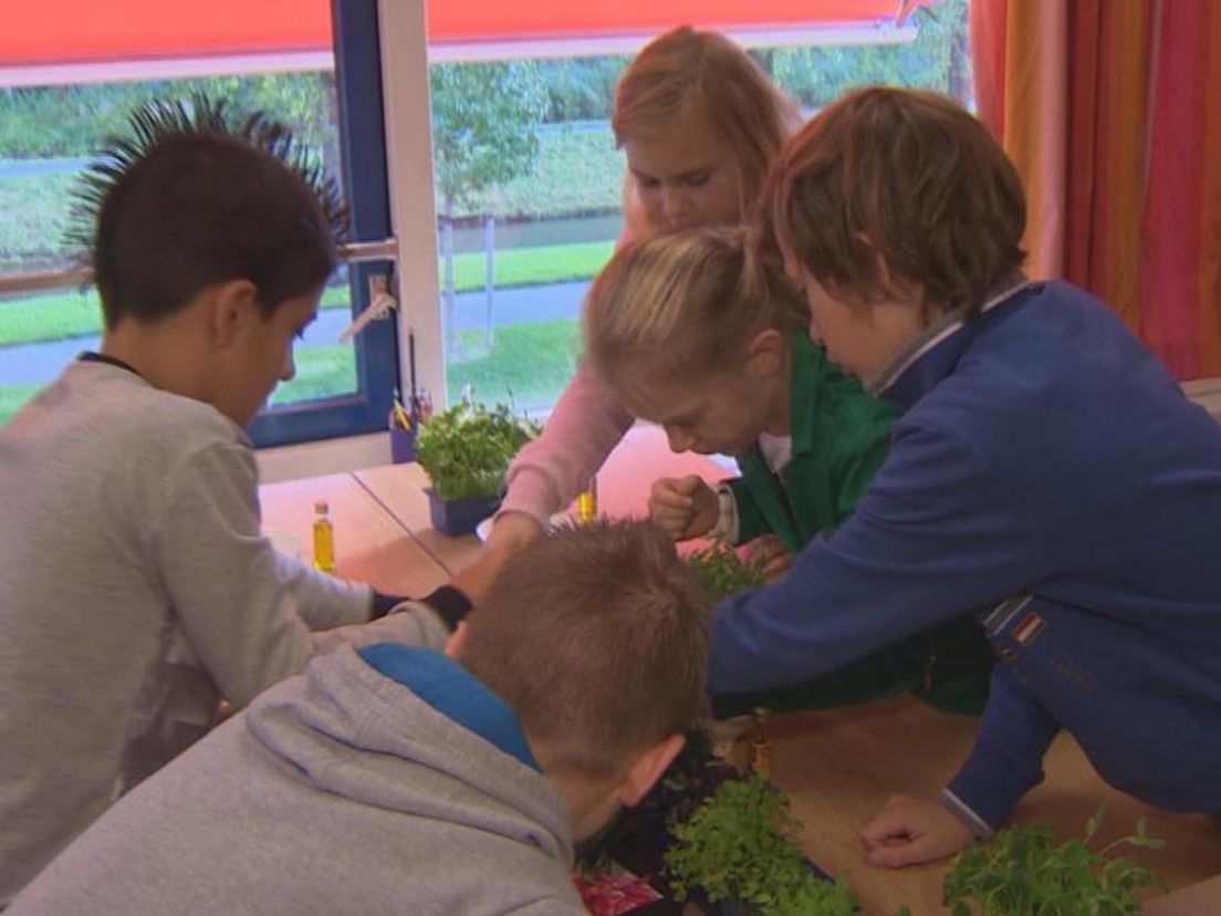 smaaklesgroenten