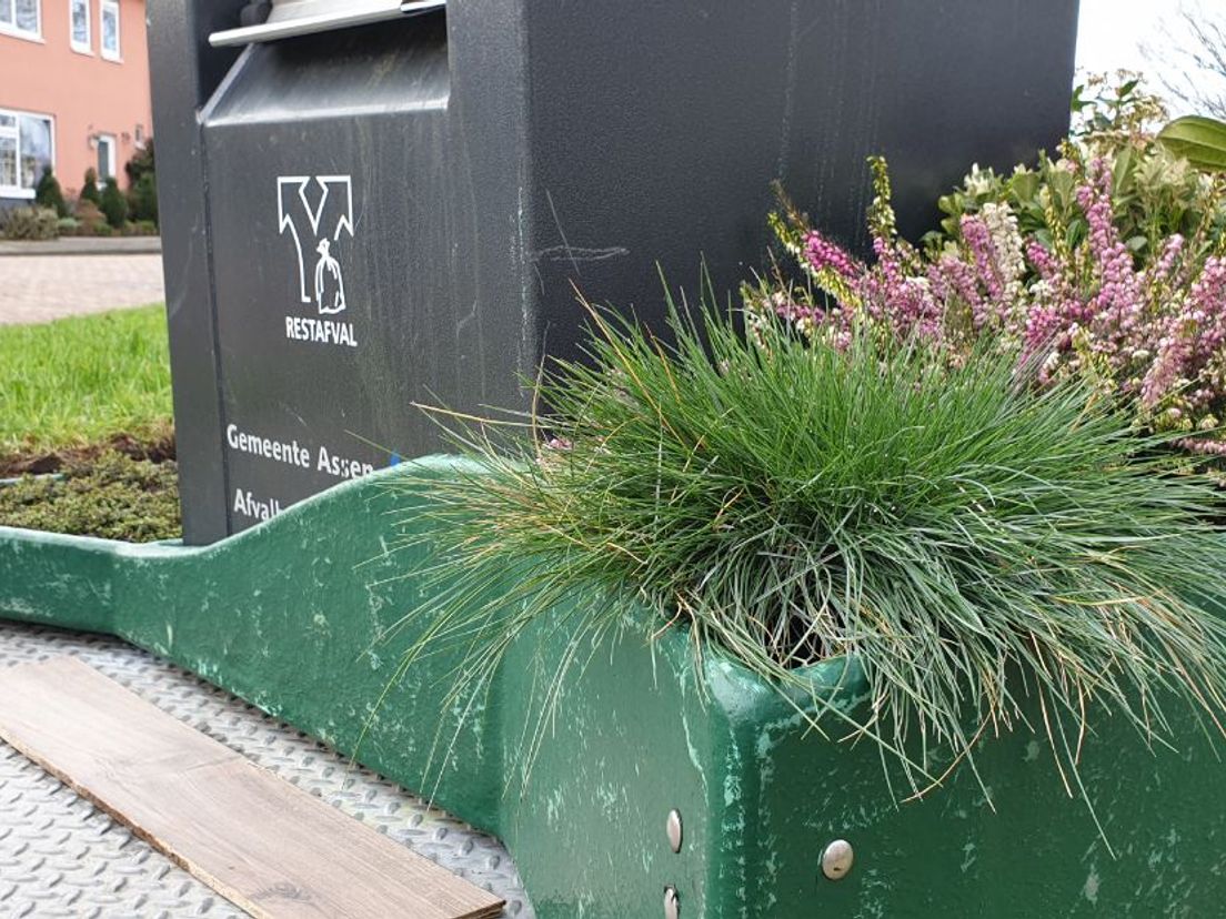 Planten sieren de plastic bak rondom de container (Rechten: Dylan de Lange/RTV Drenthe)