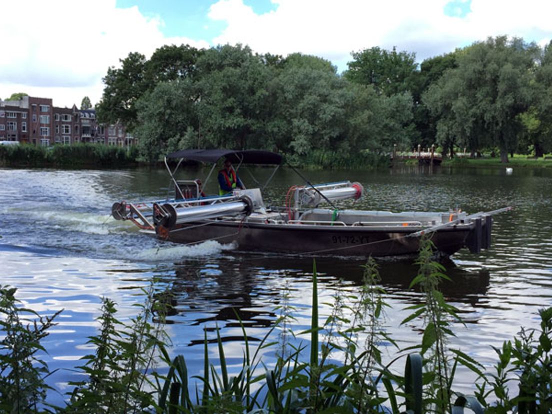 blauwalgboot