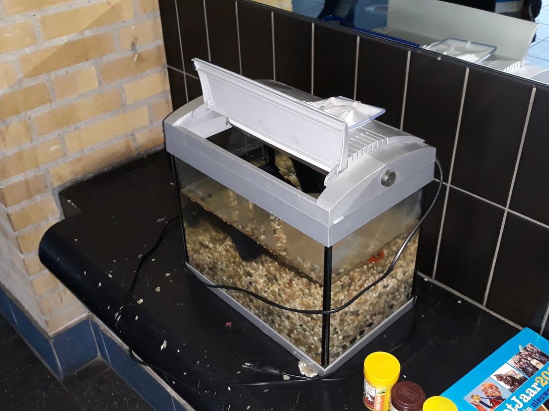 Het gevonden aquarium met goudvis Shilo (Bron: Dierenambulance Zuid-Holland Zuid)