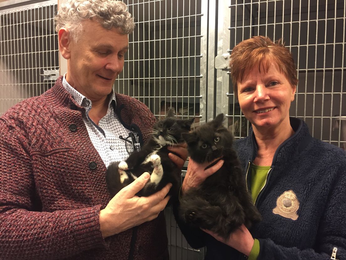 Ben en Ineke Jochims van   Stichting Zwerfkatten Rijnmond