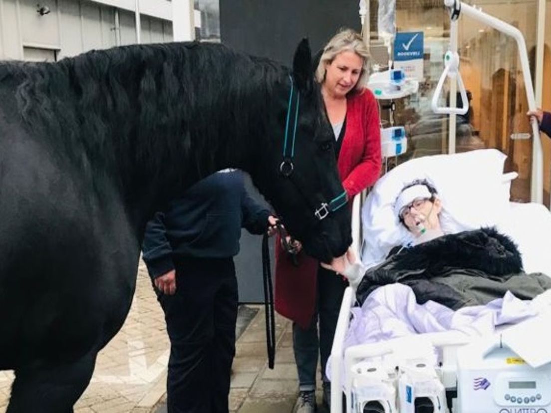 Haar laatste wens was om het paard nog even te zien