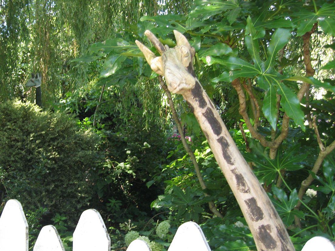 Afrika in Barendrecht