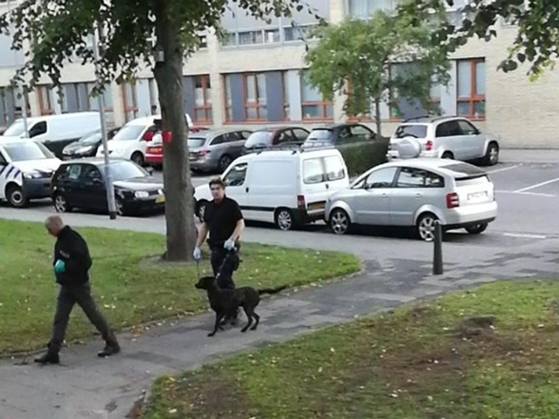 Anti-terreuractie in de Junostraat in Rotterdam