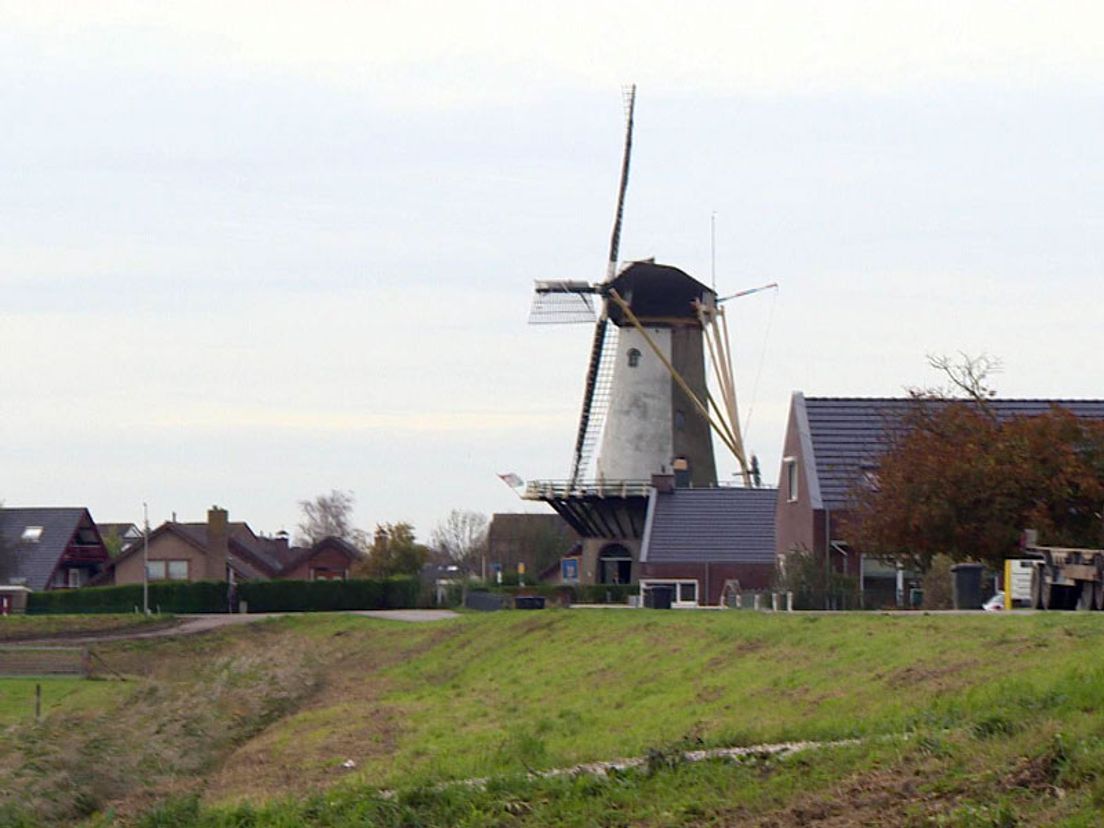 molentekoop
