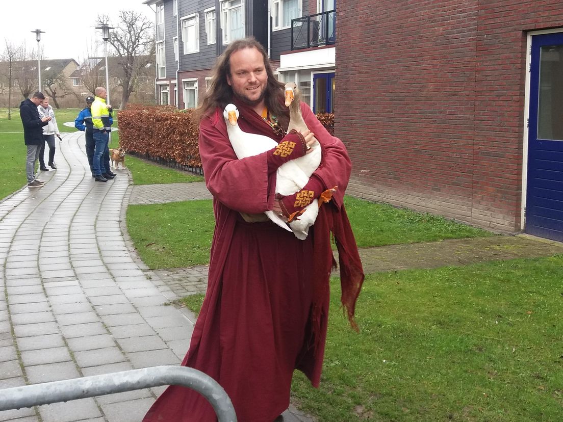 Luidruchtige ganzen in 's-Gravendeel weggehaald
