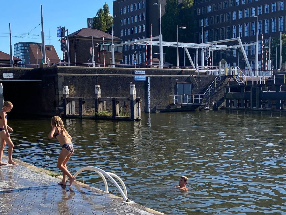 Dit mag dus niet: zwemmen in de Coolhaven