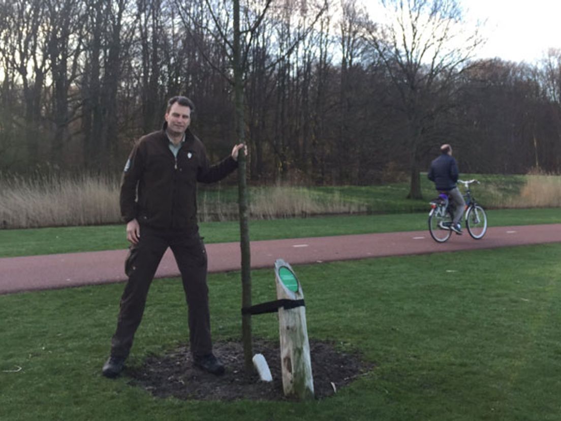 240 bomen geplant in Rotterdam