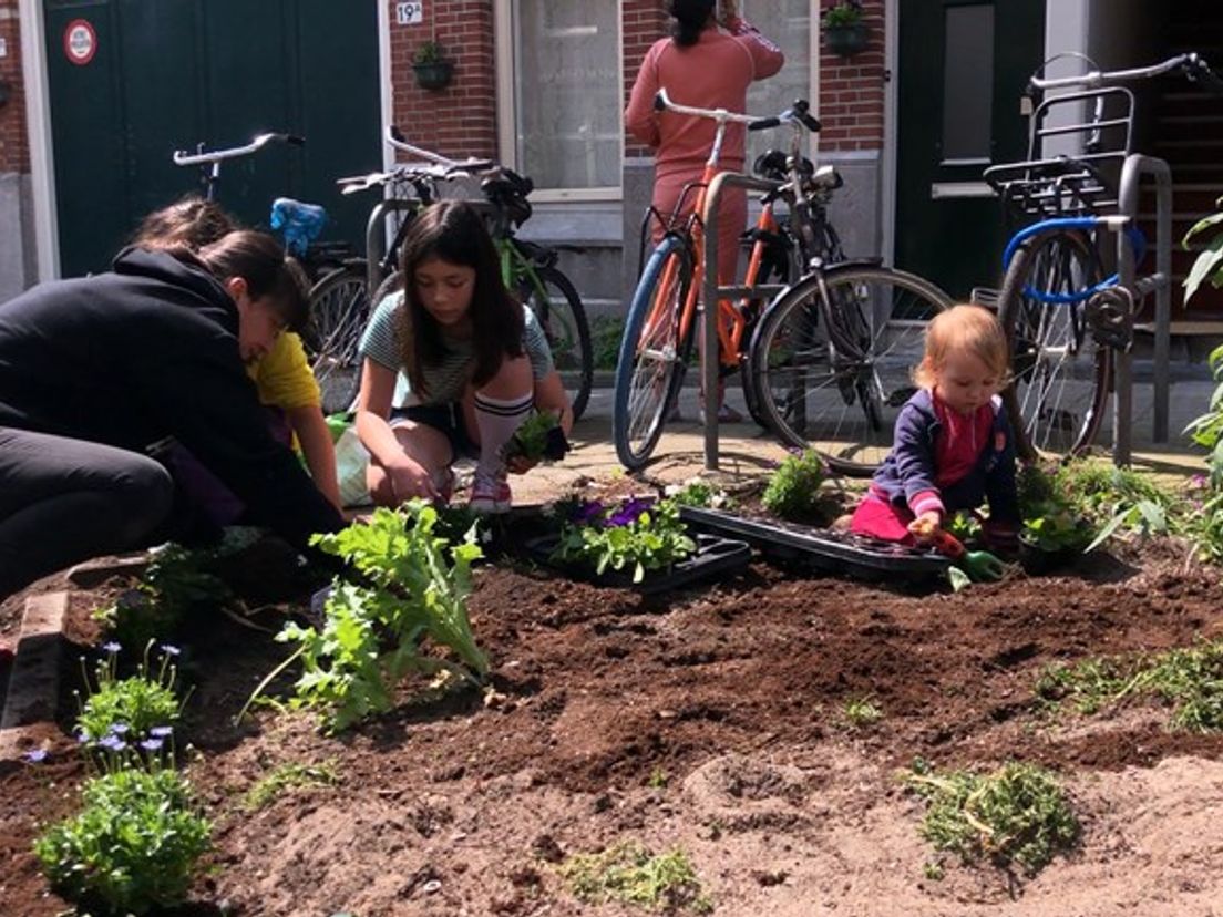 In Rotterdam-West werken buren samen aan het mooier maken van hun buurt.