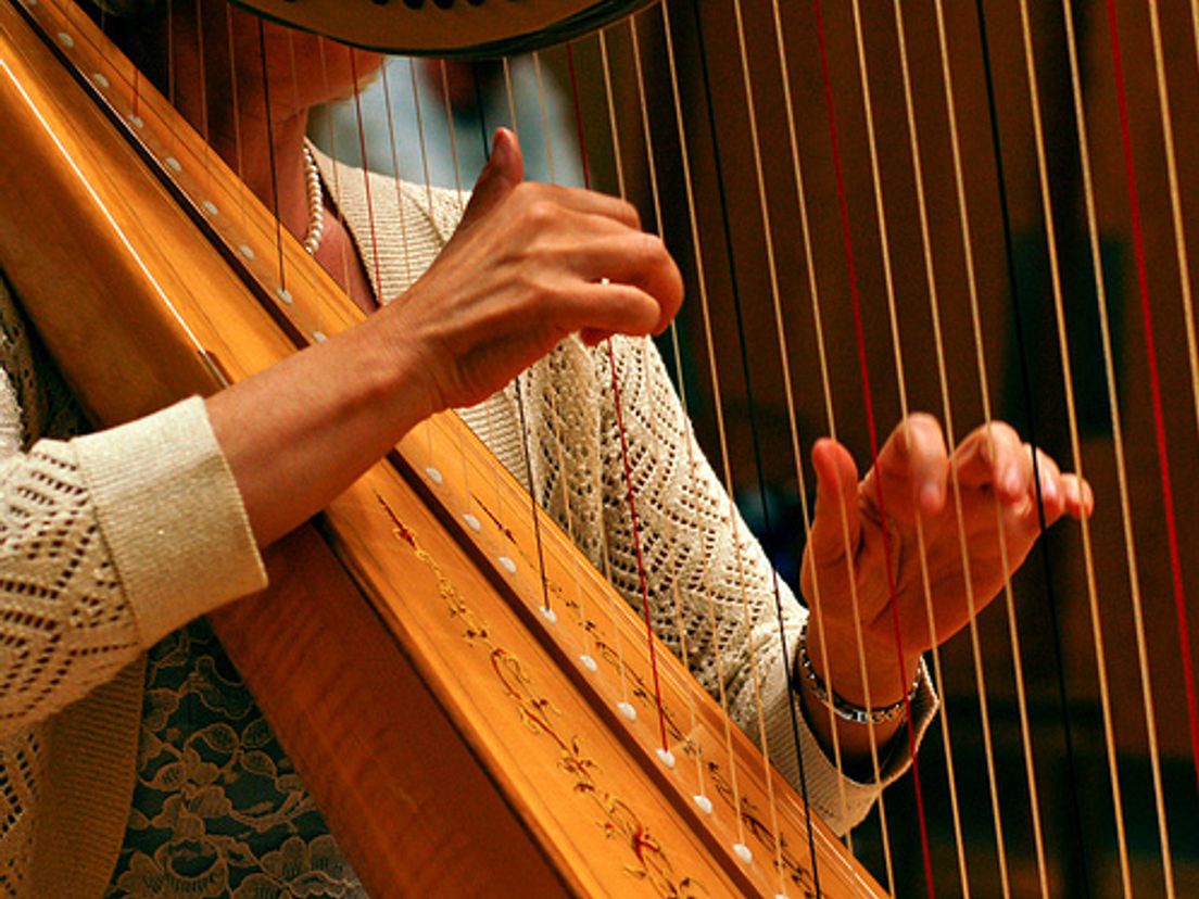harp.cropresize.1.jpg
