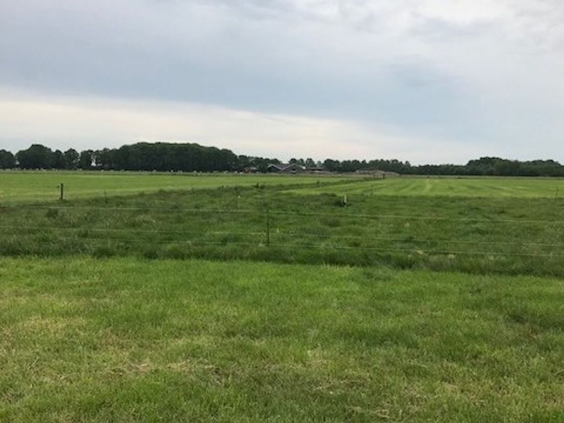 Een wulpennest wordt beschermd door een raster om het nest te plaatsen