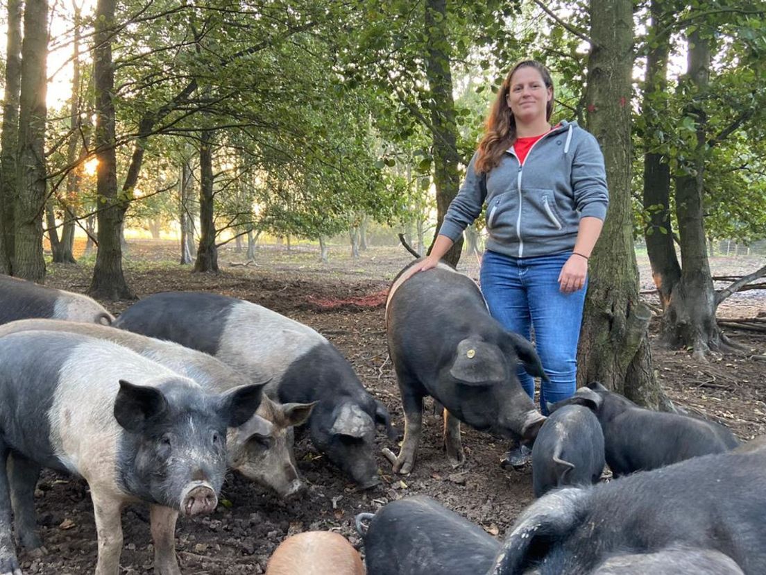 Esther Maarleveld over haar vijfsterren-varkenshouderij: 'Mannetjes en vrouwtjes lopen door elkaar, zoals het hoort'