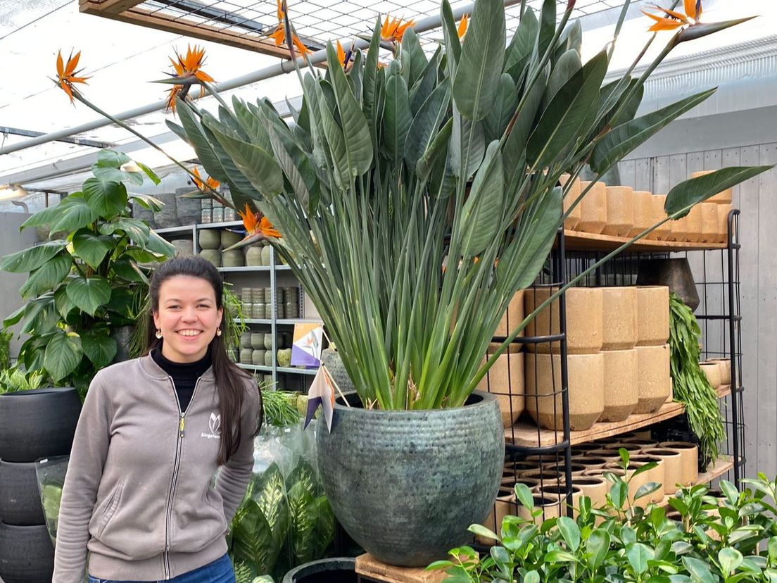 Nieuwe aanwinst Alice is verantwoordelijk voor alle kamerplanten