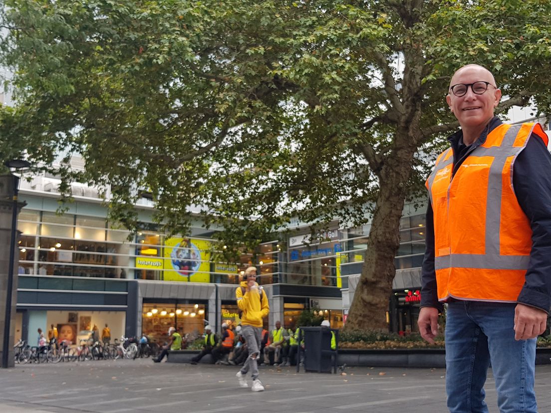 De Lijnbaanplantaan is genomineerd bij Boom van het Jaar-Verkiezing