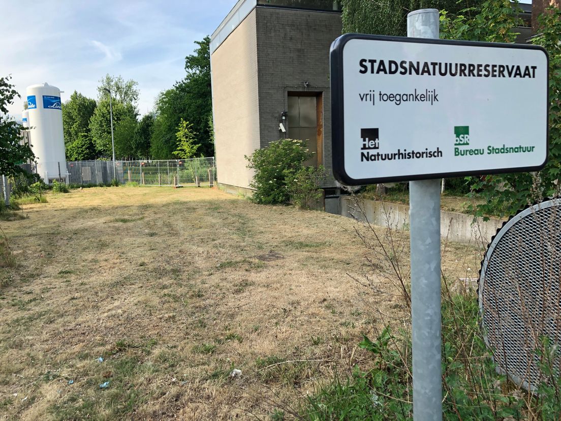 Plat gemaaid stadsnatuurreservaat
