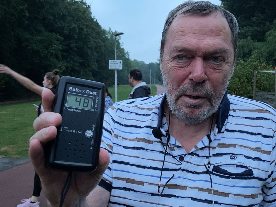 De Bat-detector