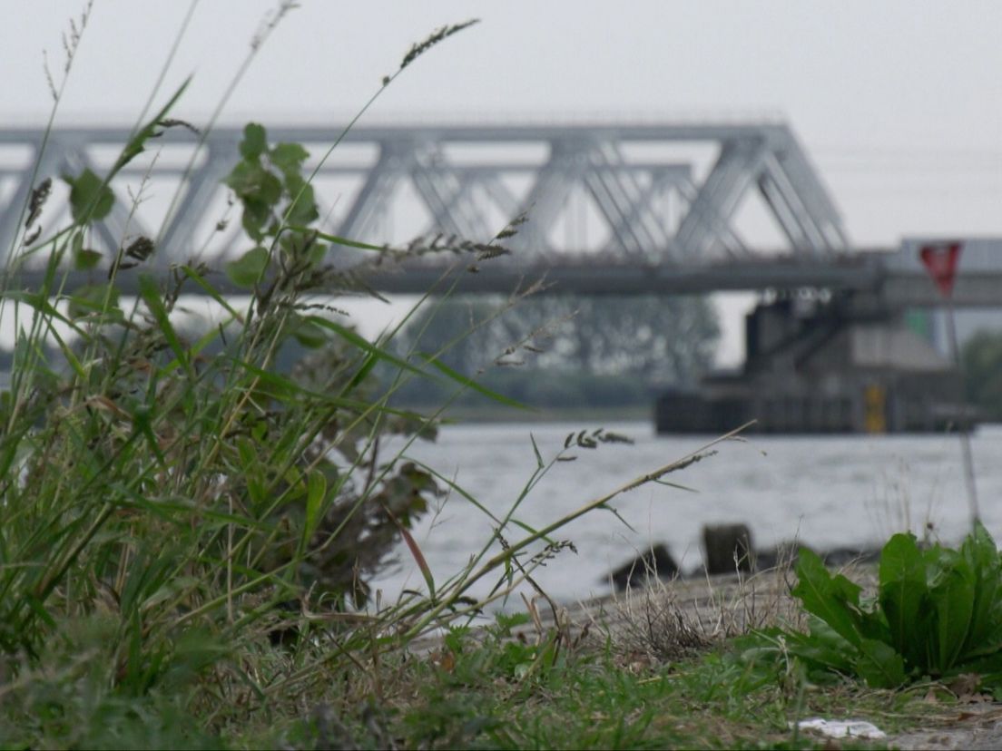 De plek waar veertig jaar geleden het ongeluk plaatsvond, op de Oude Maas tussen Dordrecht en Zwijndrecht