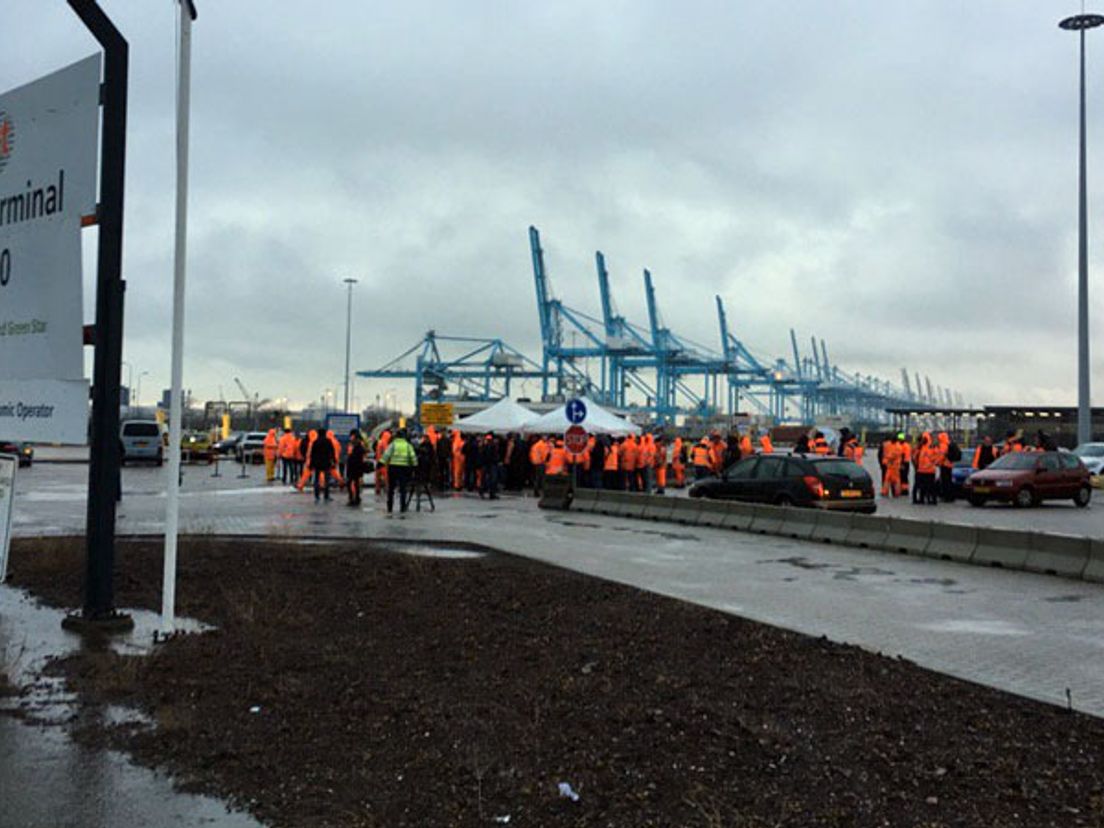 Boze havenmedewerkers staken in januari bij de Delta Terminal