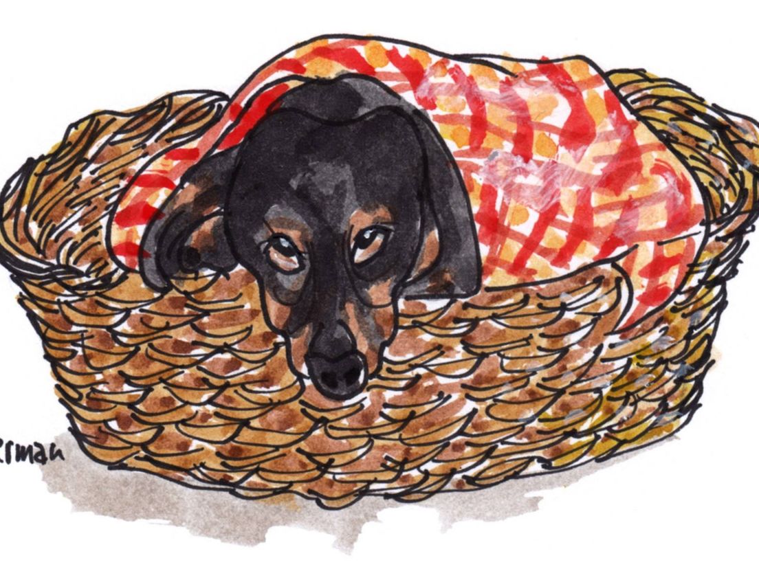 Tekening: Herman Schouwenburg