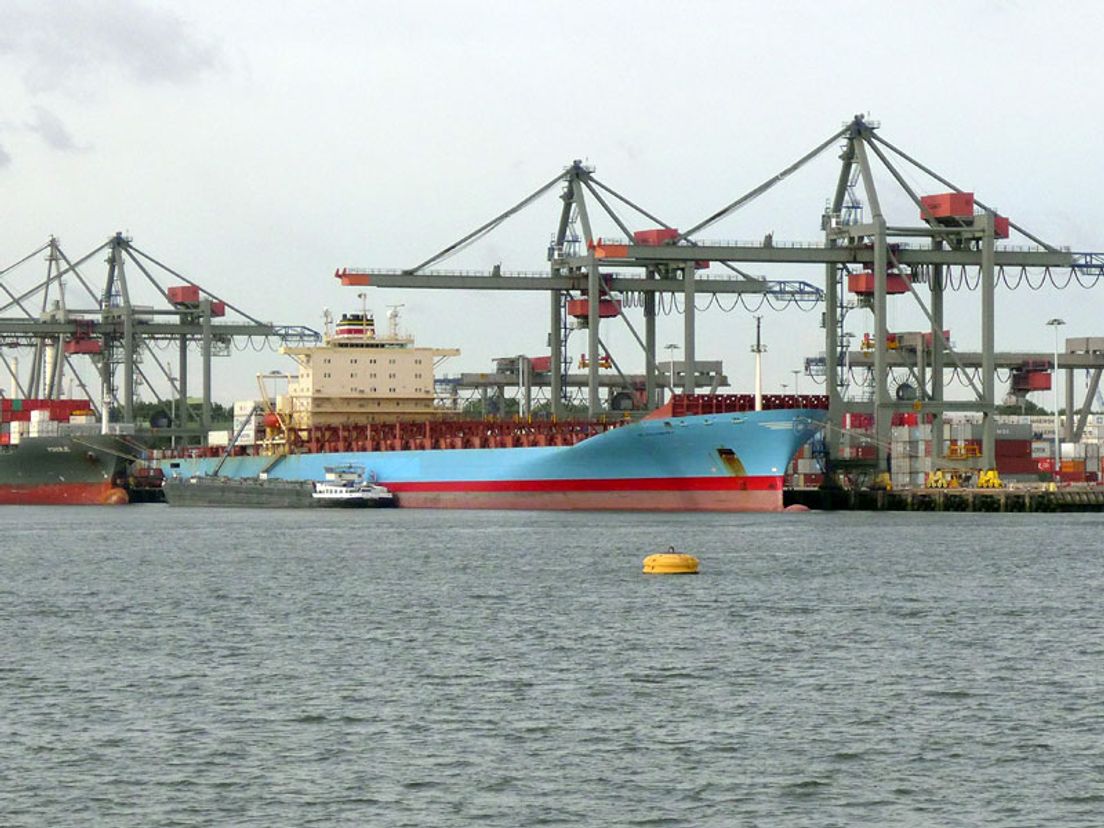 spinnenboot