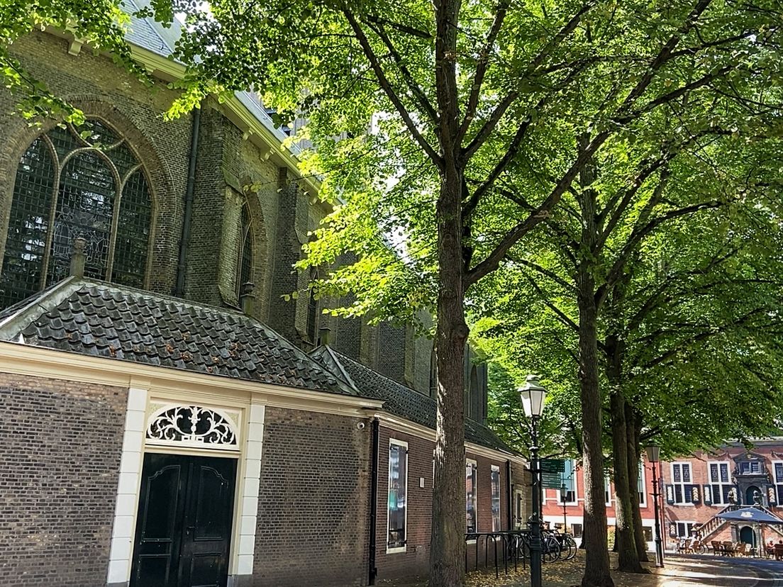 De ring van Hollandse Lindebomen op de Markt in Vlaardingen