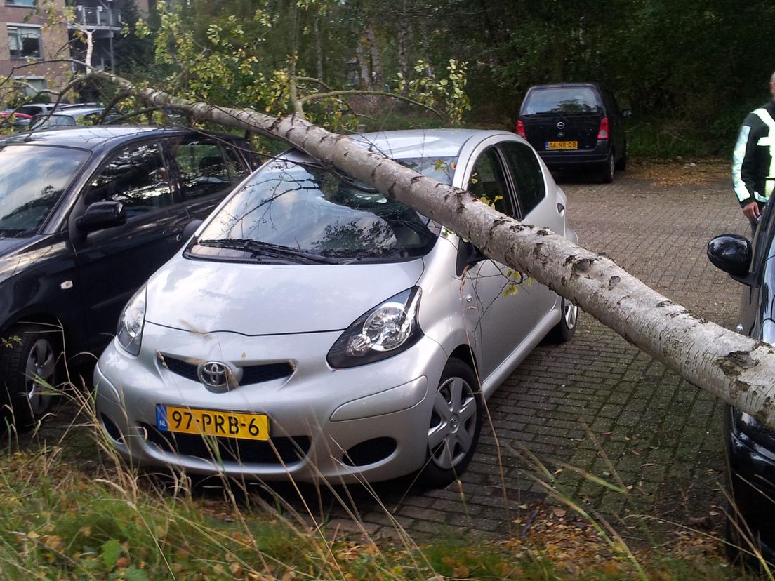 OmgevallenBoom