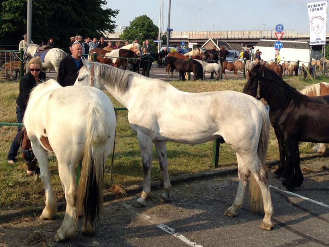 paardenmarkt