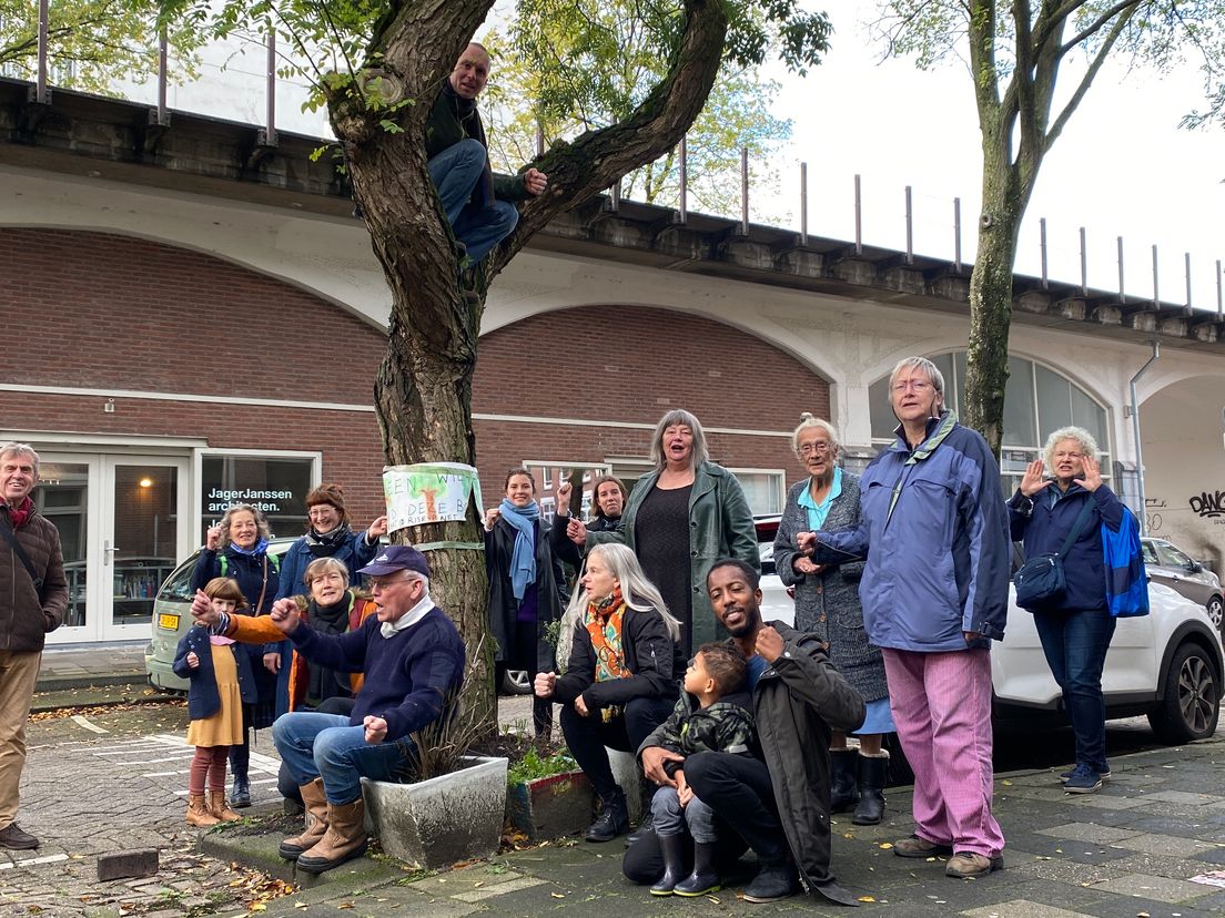 Bewoners verzetten zich tegen bomenkap in Vijverhofstraat