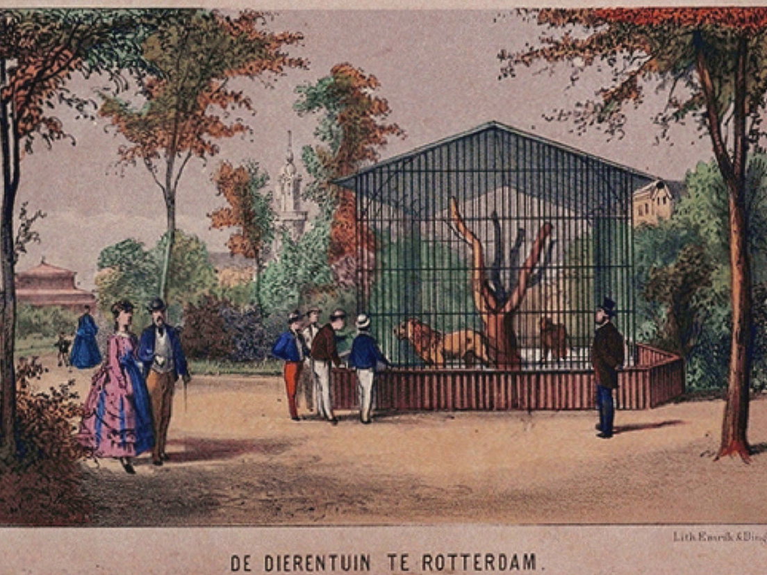 1858: Leeuwenkooi in de dierentuin Bron: Stadsarchief Rotterdam