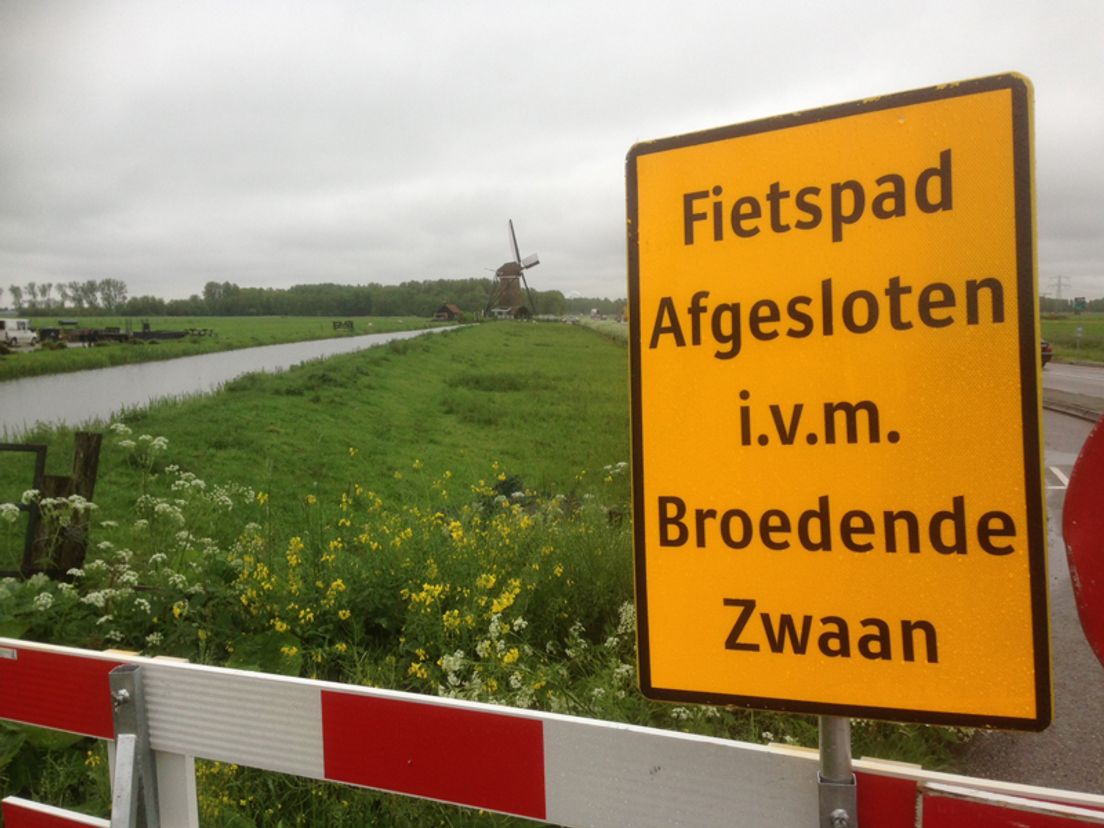 zwanennest02