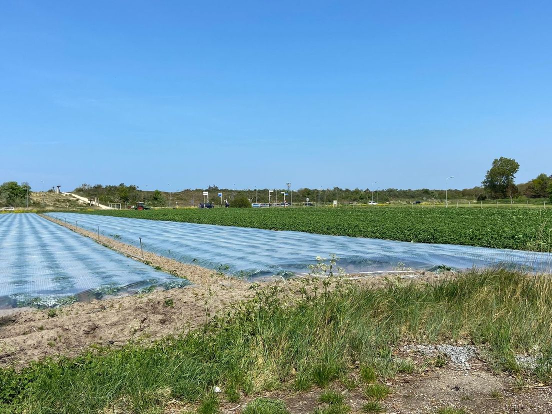 Hier staat Ouddorp Bad Oost gepland