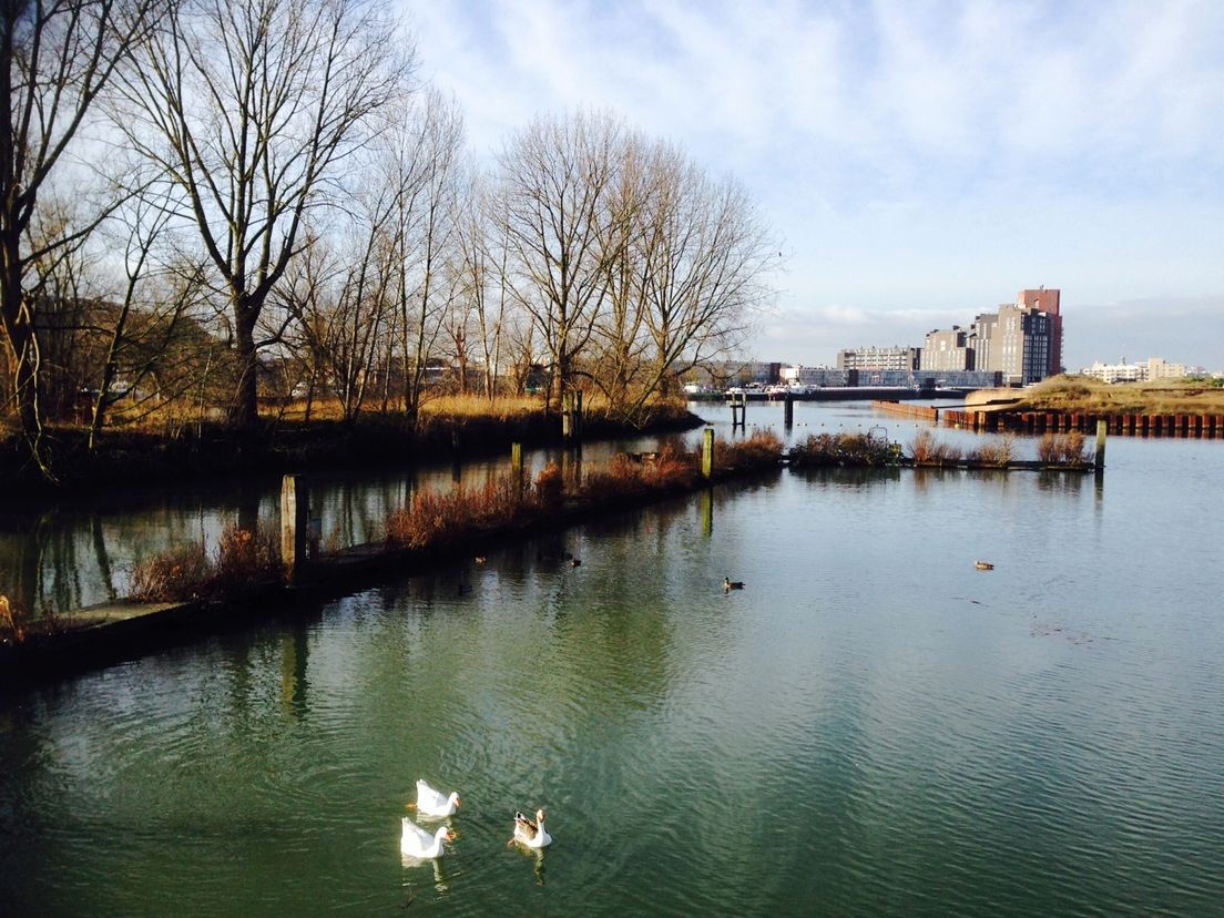 haven_stadswerven