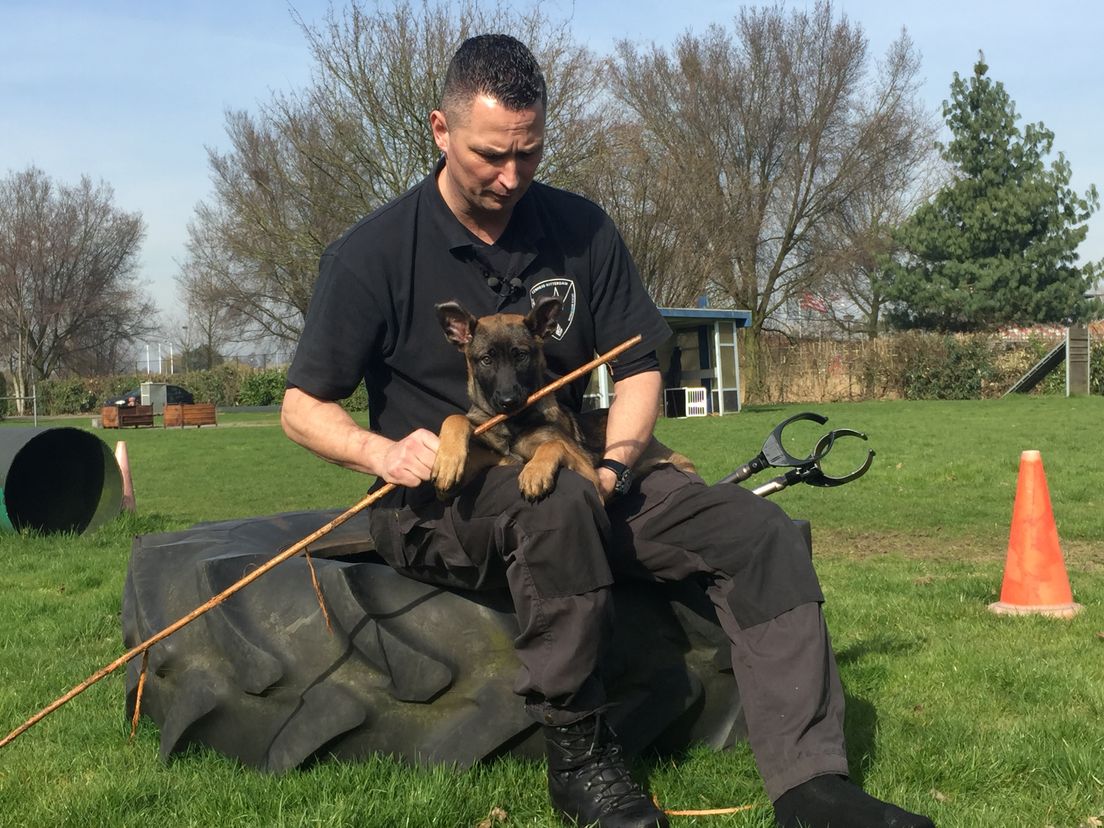 Bumper met trainer Stephan