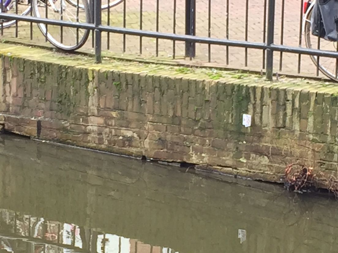 De kademuur in Maassluis