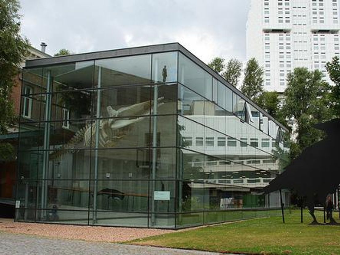 Het Natuurhistorisch Museum in Rotterdam.