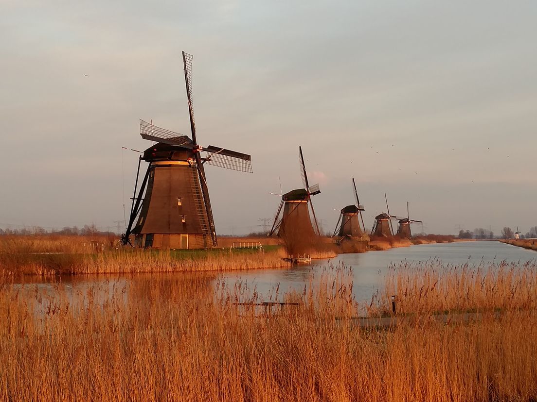 Het gemeentehuis van Molenwaard