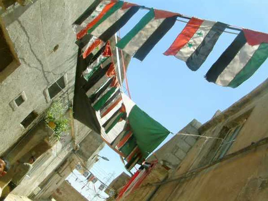 palestijnsevlaggen.cropresize.tmp.jpg