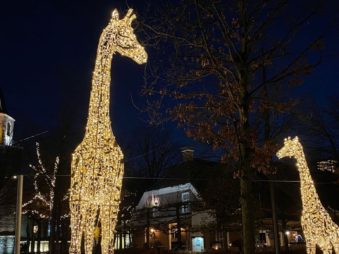 Verlichte dieren in centrum Emmen blijven langer staan RTV Drenthe