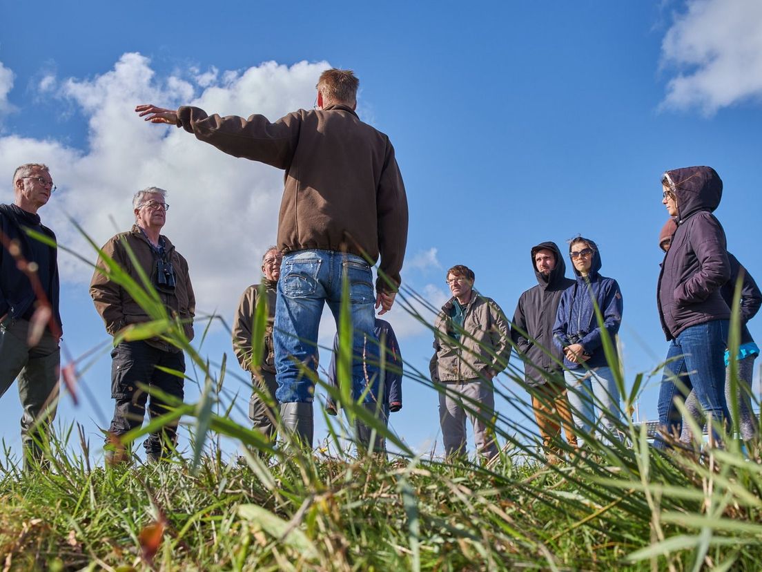 Slowaakse muizenbeschermers in Fryslân om te leren over de bescherming van de noordse woelmuis