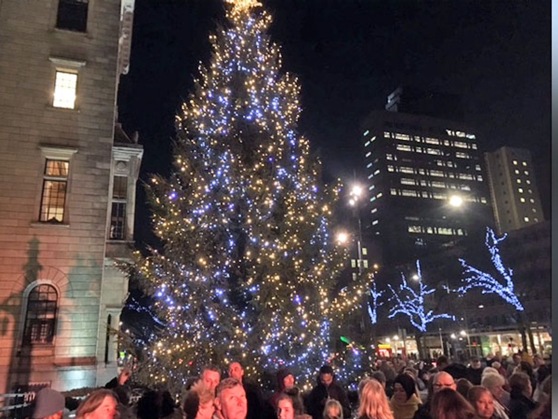 De boom bij het stadhuis