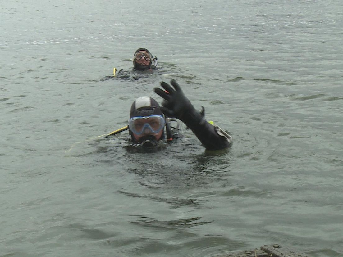 Duikers maken onderwaterbeelden in Haringvliet
