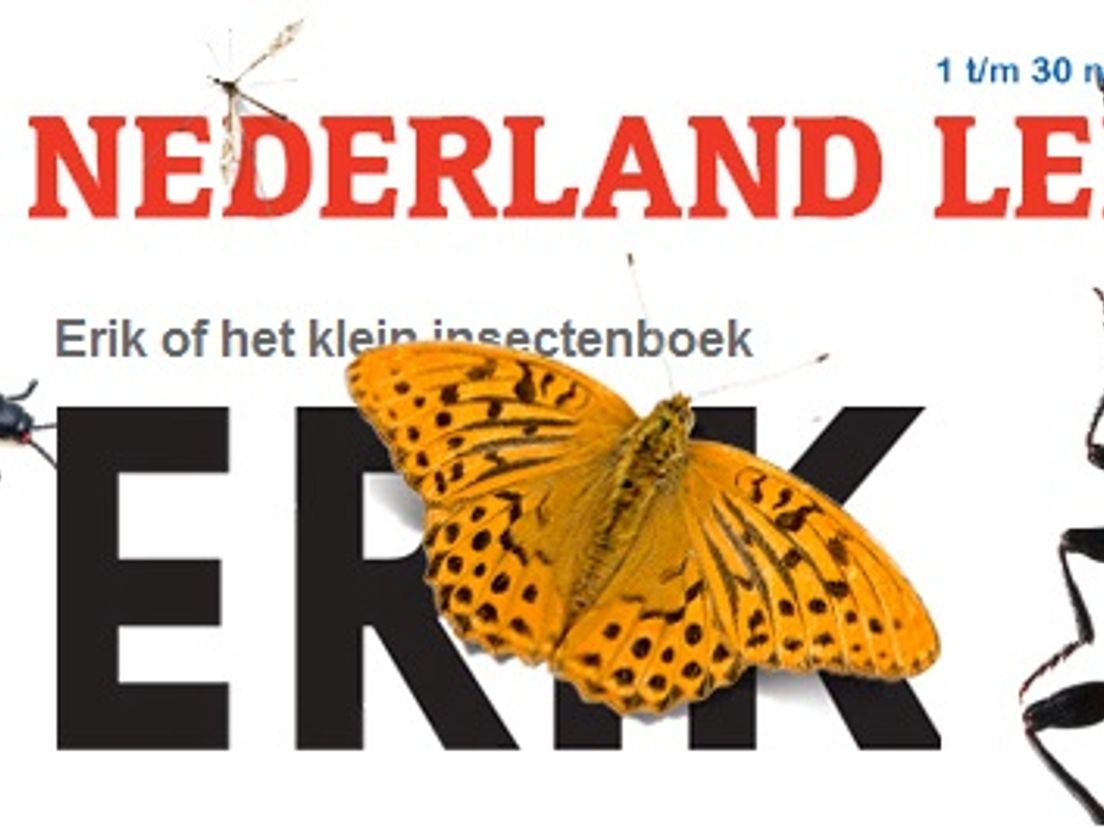 Nederland leest 2013 'Erik of het kleine insectenboek'