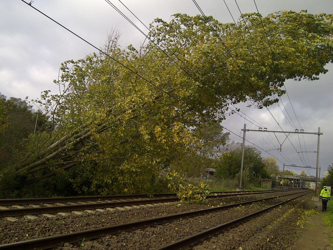 Een omgevallen boom op het spoor