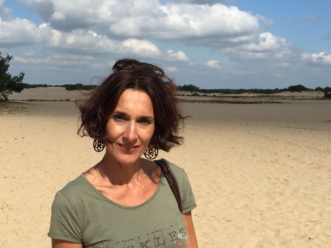 van den tol opticien