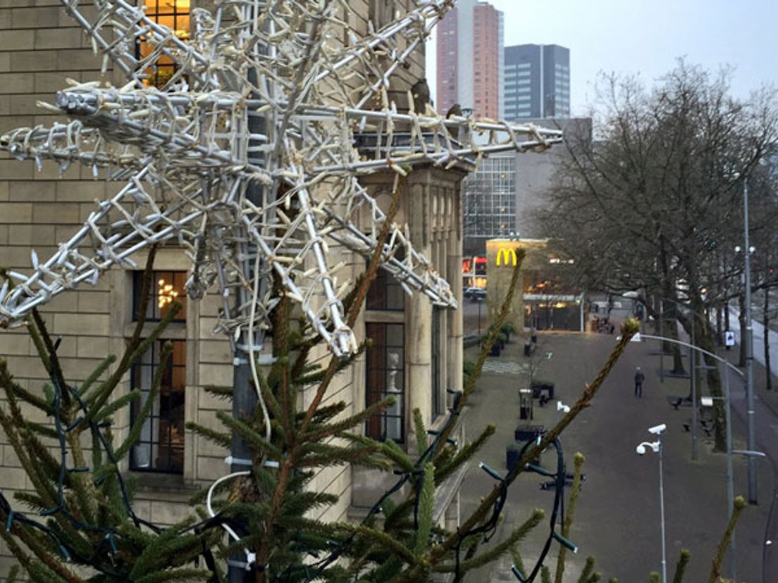 De boom bij het stadhuis