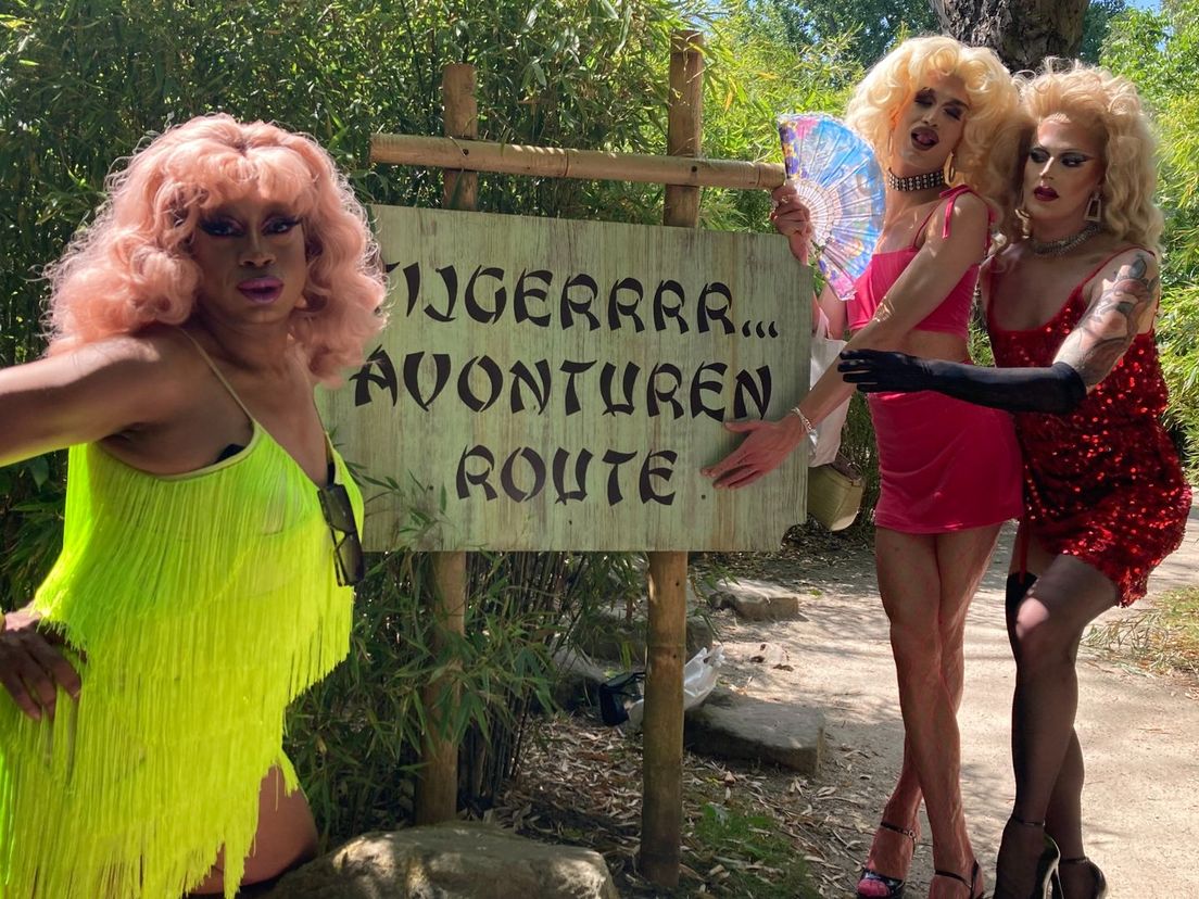 Dragqueens Cashmere, Bibi en Puma